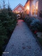 Kerstbomen: Nordmann, Fraseri, Blauwspar & meer!, Ophalen of Verzenden