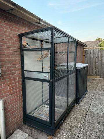 Buiten verblijf papegaai, voilere beschikbaar voor biedingen