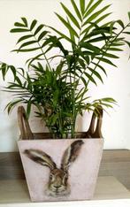 Handmade bloembak haas plantenbak hout handgemaakt, Ophalen, Minder dan 30 cm, Minder dan 60 cm, Nieuw