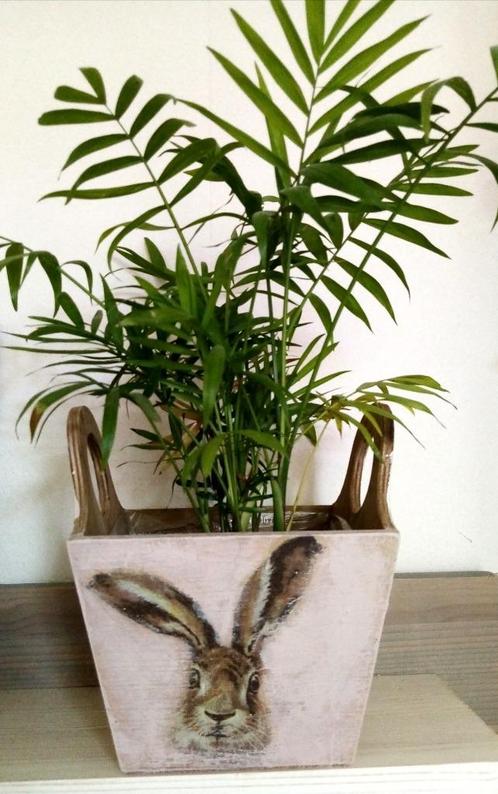 Handmade bloembak haas plantenbak hout handgemaakt, Tuin en Terras, Bloembakken en Plantenbakken, Nieuw, Hout, Minder dan 30 cm
