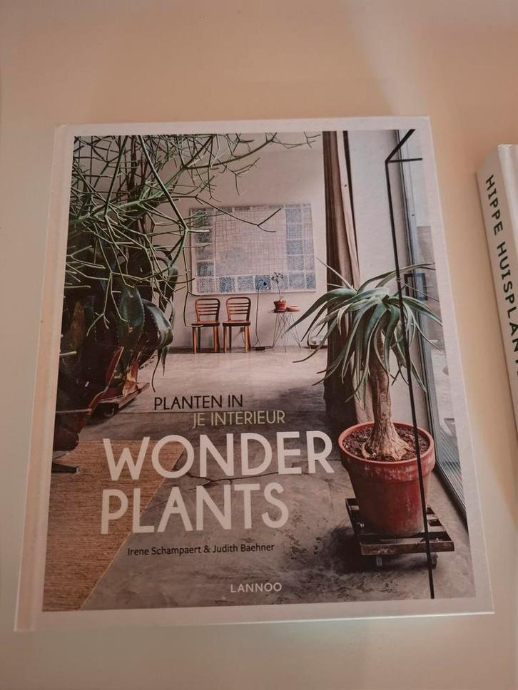 Irene Schampaert - Wonderplants, Boeken, Wonen en Tuinieren, Zo goed als nieuw, Interieur en Design, Ophalen of Verzenden