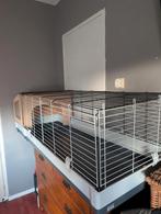 cavia hok......ferplast krolik plus verleng stukken, Minder dan 60 cm, Cavia, Ophalen of Verzenden, Hok
