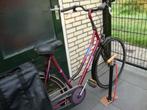 mooi opgetinte damesfiets laagframe evt.+ fieststas en pomp, Fietsen en Brommers, Ophalen, Gebruikt, Batavus, Versnellingen