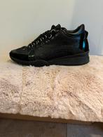 schoenen dames dsquared schoenen zwart, Zwart, Ophalen of Verzenden, Dsquared2, Sneakers of Gympen