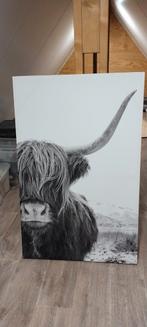 Canvas Schotse Hooglander - Stoer & Sfeervol, Huis en Inrichting, Ophalen, 50 tot 75 cm, 50 tot 75 cm, Print