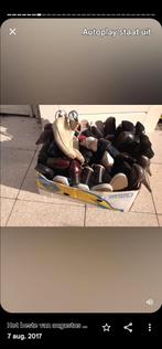 Bananendoos vol dames schoenen, Huis en Inrichting, Kasten | Schoenenkasten, Ophalen of Verzenden, Zo goed als nieuw