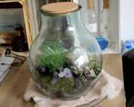 Grote terrarium vaas, Overige kleuren, 50 tot 75 cm, Ophalen of Verzenden, Glas