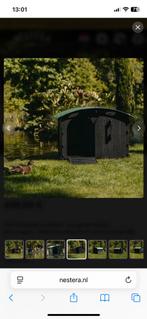 Eendenhok, Vrouwelijk, Eend