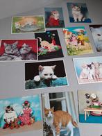 Veertien ansichtkaarten met katten, Verzamelen, Ansichtkaarten | Dieren, Ophalen of Verzenden, Hond of Kat