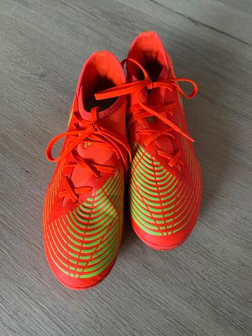 Adidas Predator gymschoenen maat 38,5 beschikbaar voor biedingen