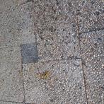 Grindtegels, Tuin en Terras, Ophalen, Gebruikt, 10 m² of meer, Beton