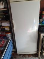 Proline koelkast, Witgoed en Apparatuur, Gebruikt, 45 tot 60 cm, Ophalen
