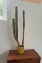 Te koop: Cactus in leuke pot!, Ophalen, Cactus, In pot, Minder dan 100 cm