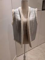 Zilver kleurig gilet Maat 42, Overige kleuren, Maat 42/44 (L), Ophalen of Verzenden, Zo goed als nieuw