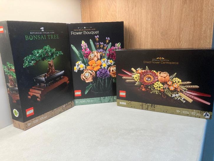 Lego Botanical nieuw in doos, Kinderen en Baby's, Speelgoed | Duplo en Lego, Nieuw, Lego, Complete set, Ophalen of Verzenden