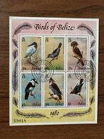 Belize Vogels Postzegels 1980 - Birds of Belize, Postzegels en Munten, Ophalen of Verzenden, Postfris, Midden-Amerika