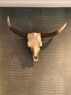 Schedel voor aan de muur, Ophalen, Schedel