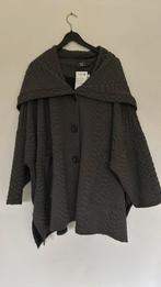 Jas van AKH., Kleding | Dames, Grote Maten, Ophalen of Verzenden, Nieuw, Grijs, Jas of Mantel