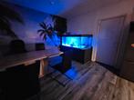 Groot aquarium !, Ophalen of Verzenden, Gebruikt, Leeg aquarium
