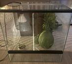 Terrarium 40x40x40, Dieren en Toebehoren, Reptielen en Amfibieën, Met terrarium