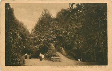 (381-277-027) Siebengebirge beschikbaar voor biedingen