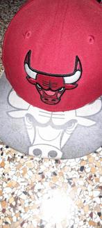 Chicago Bulls pet maat 54,9 cm, Ophalen of Verzenden, Gebruikt, Jongen of Meisje