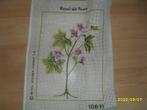NIEUW Voorbedrukt stramien bloem 10611. Verkoop ook DMC, Hobby en Vrije tijd, Borduren en Borduurmachines, Ophalen of Verzenden