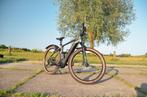 Cube Reaction Hybrid Pro 500 29" + chip, Fietsen en Brommers, Elektrische fietsen, Ophalen, Zo goed als nieuw, 50 km per accu of meer