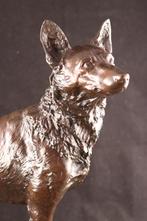 Groot antiek bronzen beeld van een herdershond, Ophalen of Verzenden