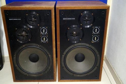 Sony SS-5050 Luidsprekers, Audio, Tv en Foto, Luidsprekers, Gebruikt, Front, Rear of Stereo speakers, 60 tot 120 watt, Sony, Ophalen