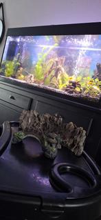 2 decoratie stuken aqwarium, Dieren en Toebehoren, Vissen | Aquaria en Toebehoren, Ophalen