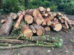 Brandhout, Tuin en Terras, Haardhout, 6 m³ of meer, Ophalen of Verzenden, Overige houtsoorten, Stammen
