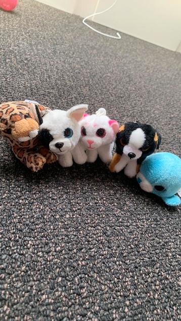 5 leuke knuffel diertjes beschikbaar voor biedingen