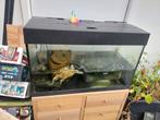 2 aquariums 2 schildpadden, Ophalen, Zo goed als nieuw, Leeg aquarium