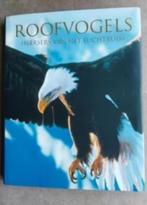 Roofvogels door Paul D. Frost, Boeken, Natuur, Paul D. Frost, Ophalen of Verzenden, Zo goed als nieuw, Vogels
