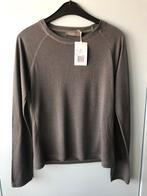 Geisha T-shirt grijs glitter raglan mouw maat 152 nieuw, Kinderen en Baby's, Kinderkleding | Maat 152, Geisha, Meisje, Nieuw, Ophalen of Verzenden