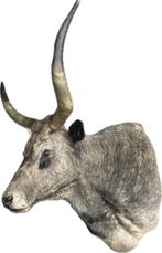 Koe Steppenrund Hongarije Megagroot, Ophalen, Zo goed als nieuw, Beeldje of Figuurtje