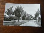 T28 - Netersel - Straat - Plantsoen - Mooie oude kaart, Ophalen of Verzenden