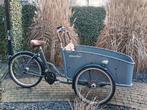 Elektrische Johnny Loco bakfiets Earl Grey, Fietsen en Brommers, Fietsen | Bakfietsen, Ophalen, Gebruikt, Elektrisch, 2 kinderen