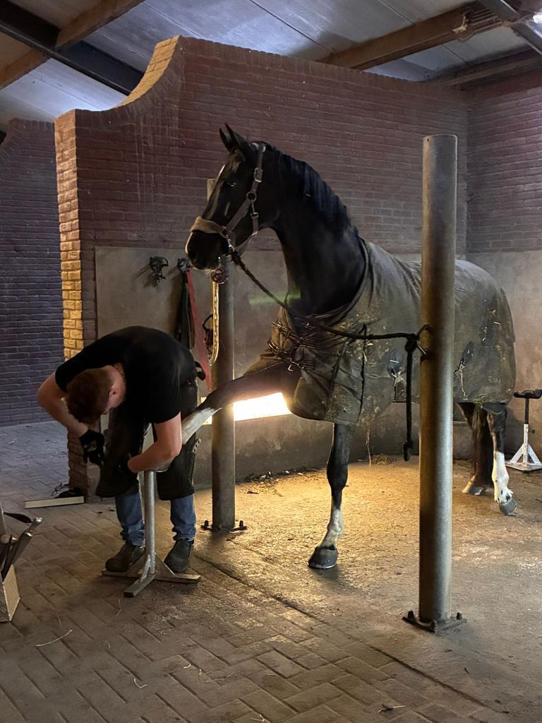Hoefsmid., Diensten en Vakmensen, Dieren | Paarden | Verzorging, Oppas en Les, Verzorging of Verzorgpony's