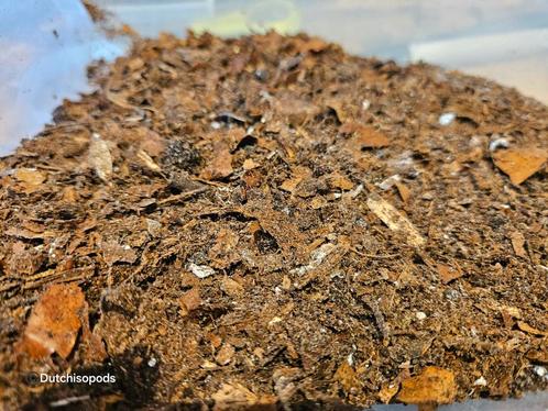 Premiumsubstraat, Dieren en Toebehoren, Insecten en Spinnen, Overige soorten