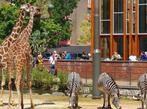 20% korting bij ARTIS -park, Drie personen of meer, Kortingskaart