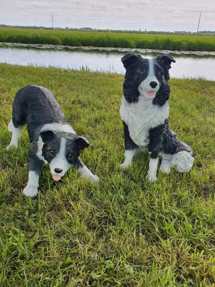 Set Border Collies, Tuin en Terras, Tuinbeelden, Nieuw, Dierenbeeld, Overige materialen, Ophalen