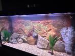 Te koop juwel 350l compleet, Vis
