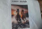 NIEUWE Complete PAARDEN Diamond Painting - 30 x 40 cm, Ophalen of Verzenden, Nieuw, Knutselwerk