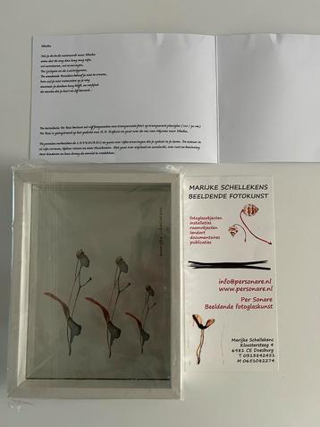 Fotokunst op glas in witte lijst van Marijke Schellekens beschikbaar voor biedingen