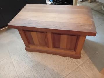 Klein opberg salon tafel/kist beschikbaar voor biedingen