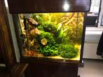 Aquarium 300 liter, Dieren en Toebehoren, Vissen | Aquaria en Toebehoren, Ophalen, Gebruikt, Gevuld zoetwateraquarium
