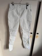 Te koop wedstrijd rijbroek PK sports, Dieren en Toebehoren, Ophalen of Verzenden, Zo goed als nieuw, Dressuur, Onderkleding