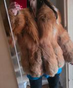 Bontjas Redfox - Echt Pels /Kopenhagen fur, Maat 38/40 (M), Bruin, Nieuw, Ophalen of Verzenden
